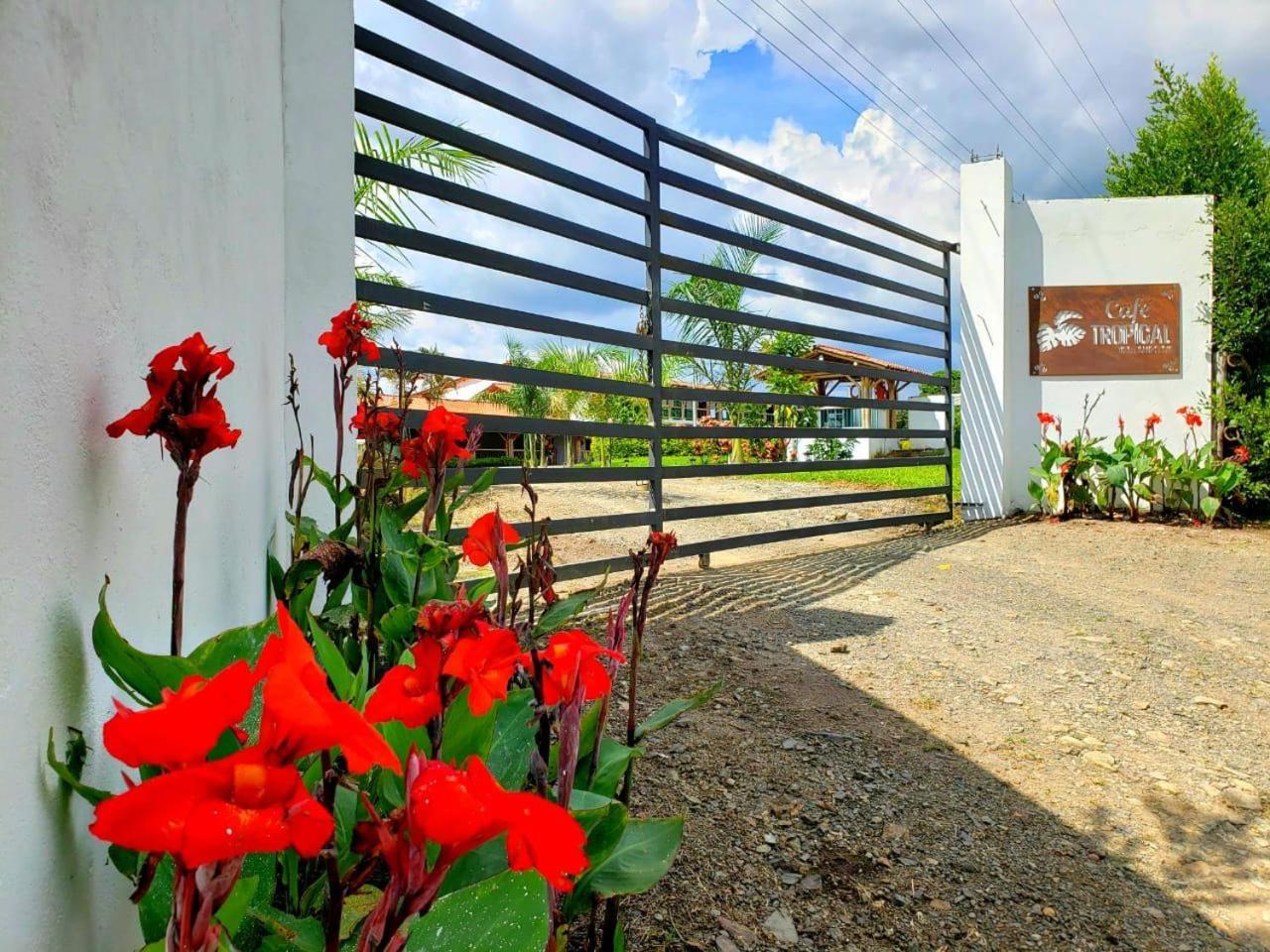 Hotel Campestre Cafe Tropical Кимбая Екстериор снимка